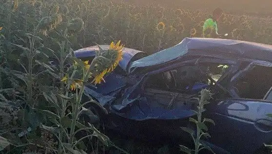 Otomobil Ayçiçeği Tarlasına Devrildi: Kaza Sonrası Yaralılar Hastaneye Kaldırıldı
