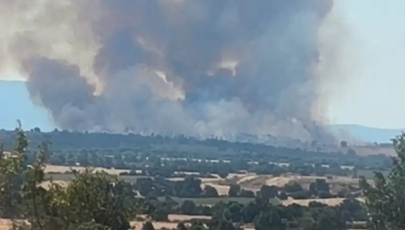 Komşudaki Orman Yangını, Edirne'yi Puslu Hava ile Sarhoş Etti