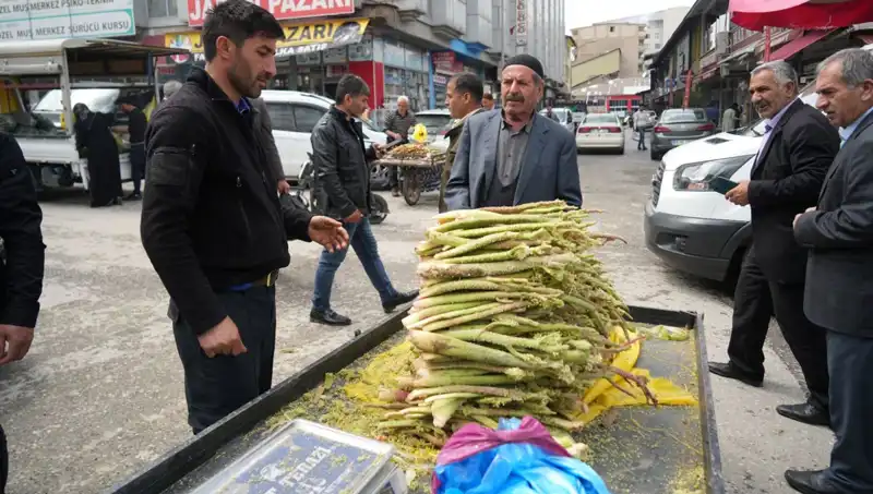 Şekerin Sağlık Üzerindeki Olumlu Etkileri: Kanser ve Mide Hastalıklarına Karşı Koruma!