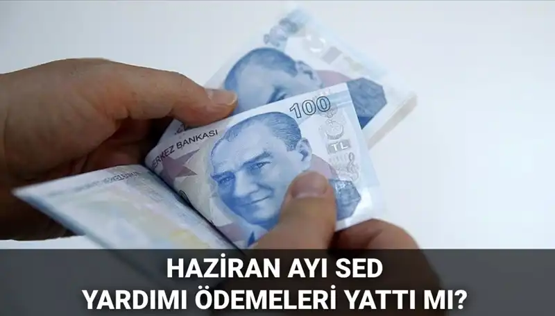 Haziran 2025 SED Ödemeleri Sorgulama Rehberi: Yattı mı, Ne Zaman Yatacak?