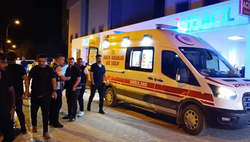 Kardeşler Arasındaki Kavga Kanlı Bitti: Çığlıklar Yükseldi