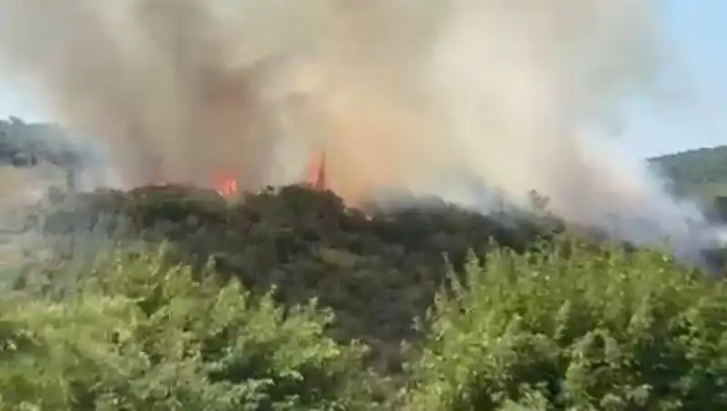 İstanbul’da Orman Yangını: 300’den Fazla Vatandaş Gilk Yüzünden Tahliye Edildi!