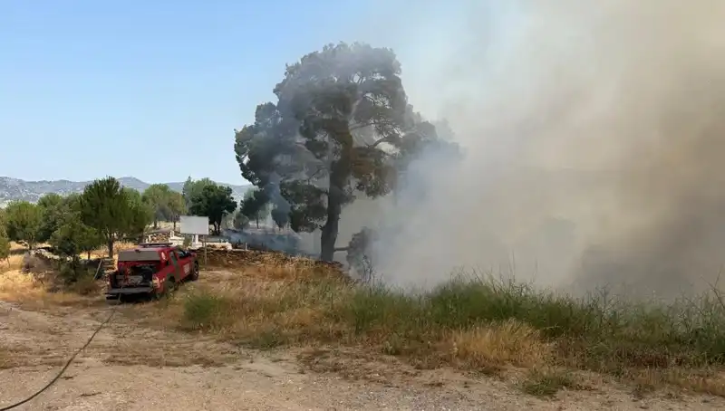 Muğla'da Yangın Alarmı! Ormanlık Alan Alev Alev Yandı