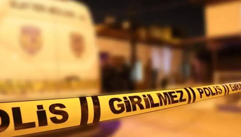 Diyarbakır'da Kayınpeder Dehşeti: Aile İçi Şiddet Tüyler Ürpertici Boyutlara Ulaştı