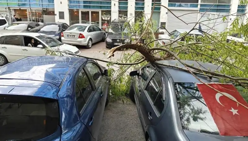 Kayseri’de Fırtına İle Savaş: Dallar Kırıldı, Hayat Durma Noktasına Geldi