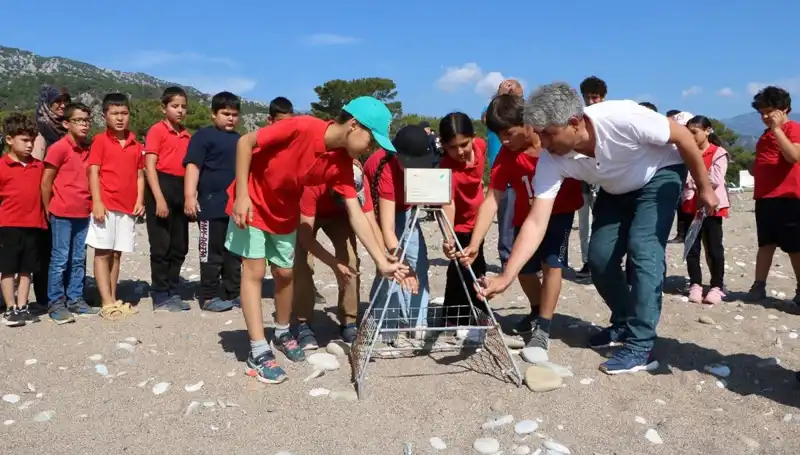 Kemer'de Caretta Caretta Yasağı: Denizdeki Tatilcileri Neler Bekliyor?