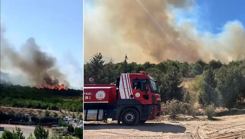 Gebze'deki Orman Yangını: Doğa Yüreğimizi Yaktı