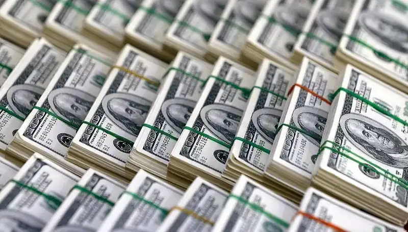 Doların Hızla Yükselişi: Ekonomistler Uyarıyor, Yatırımcılar Dikkat!