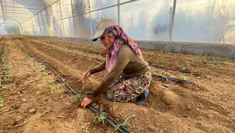 Topraktaki Gelecek: Fideler Neden Günlük 6 Saat Çalışıyor?