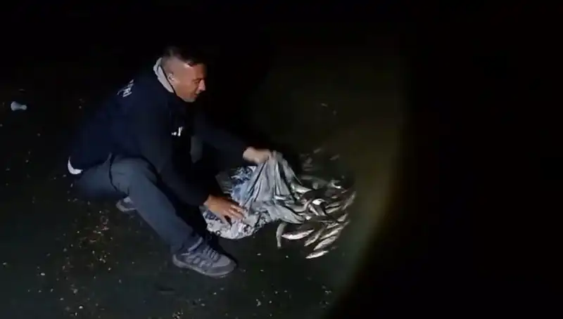 Bir Ton İncik Kefali Avlandı: Baldıran Gölü'nde Tarihi Rekor!
