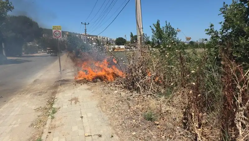 Bursa'da Otluk Alanda Çıkan Yangın, Çevreyi Tehdit Altına Soktu