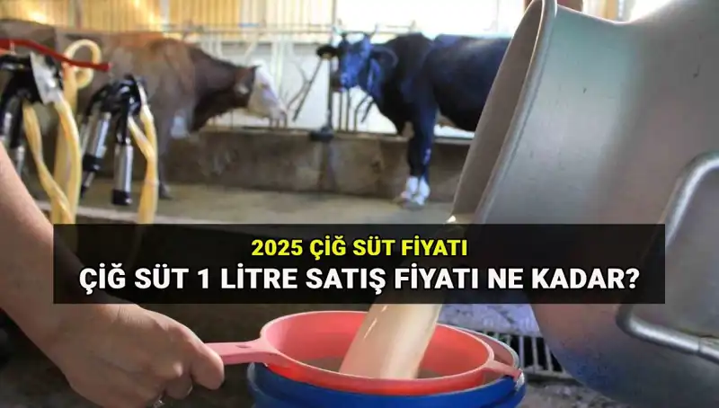 2025'te Çiğ Süt Fiyatları Ne Olacak? Ulusal Süt Konseyi Açıklama Yaptı!