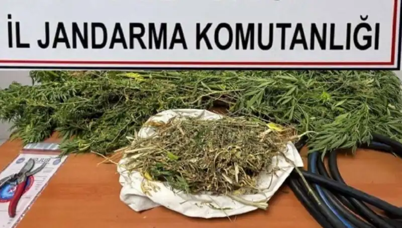 Niğde’deki Uyuşturucu Operasyonunda Baskın, Çok Sayıda Gözaltı İşlemi Gerçekleşti