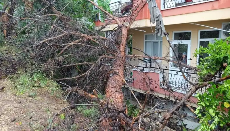 Yağmurun Ağırlığına Dayanamayan Bina, Yerle Bir Oldu!