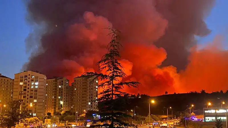 Bursa'da Yangın Alarmı: Şehri Tehdit Eden Çağrıcı Ateşler