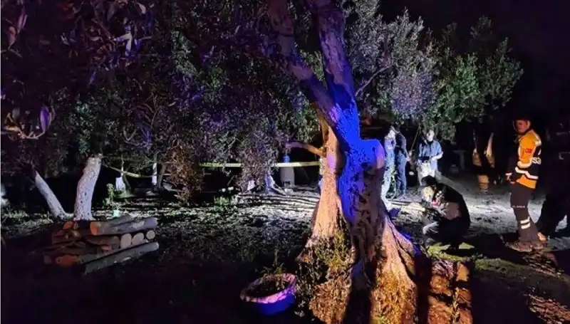 Çiftlikteki Baltalı Vahşet: Olayın Ardındaki Karanlık Gerçekler