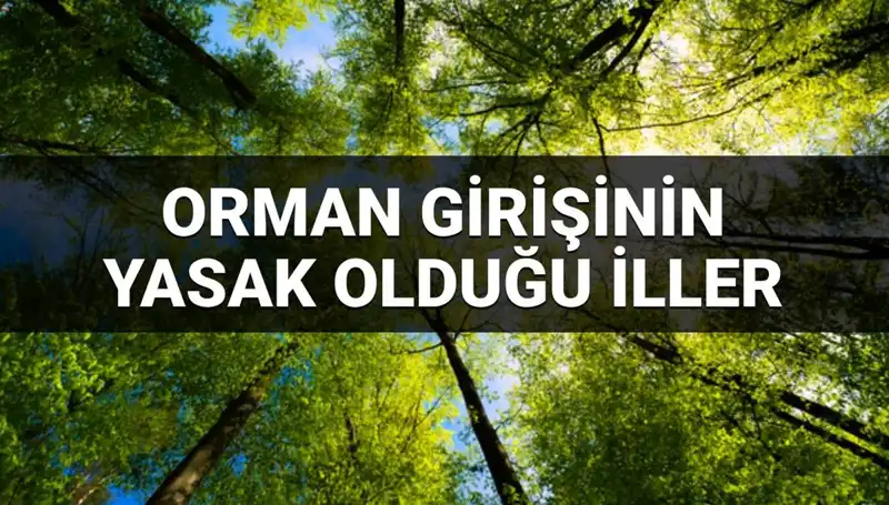 2025'te Ormana Girmek Yasaklanan İlleri Öğrenin!