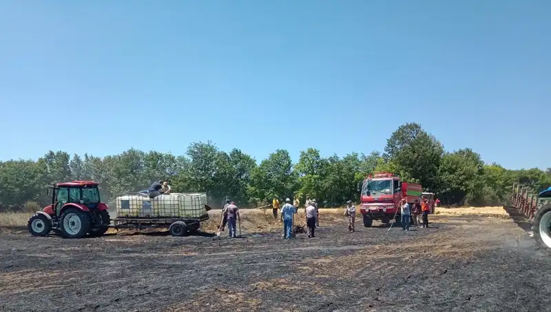 Buğday Tarlasındaki Yangın: 10 Dönüm Zarar Gördü