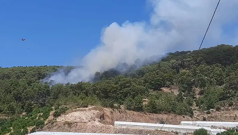 Kumluca'da Orman Yangını: Doğanın Kalbi Küllerle Kaplandı