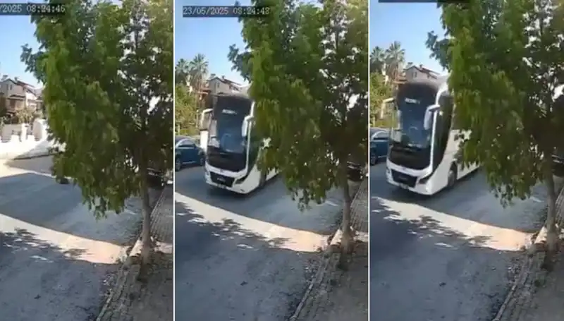 Yolda Yatan Köpeği Ezip Geçen Sürücü, Hayvanseverlerin Tepkisini Çekti