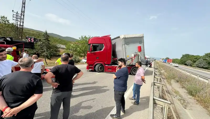Seyir Halindeyken Arı Soktu: Trafik Kilitlendi ve Şok Edici Anlar Yaşandı