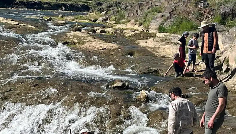 İnci Kefalinin Göçü: Doğanın Mucizesini İzlemeye Gelen Turistler