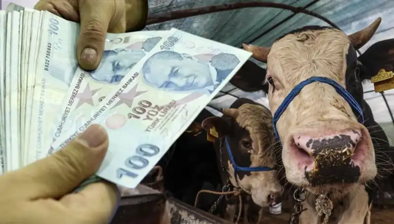 Kurban Bayramı Öncesi Maaşlar Ne Zaman Yatacak? Emeklilere Müjde