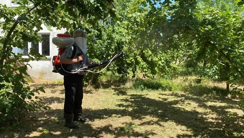 Kükürt ve Samuray Arısı: Çiftçinin Umudunu Yeşerten Yeni Çözüm
