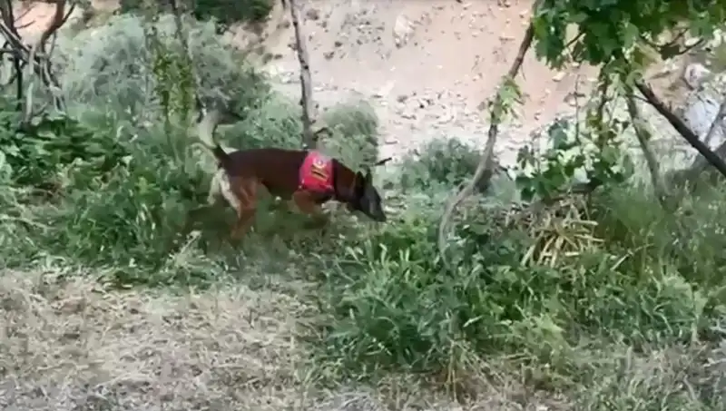 Dedektör Köpeği İle Dere Kenarındaki Gizli Esrar Kılıfı Ortaya Çıktı