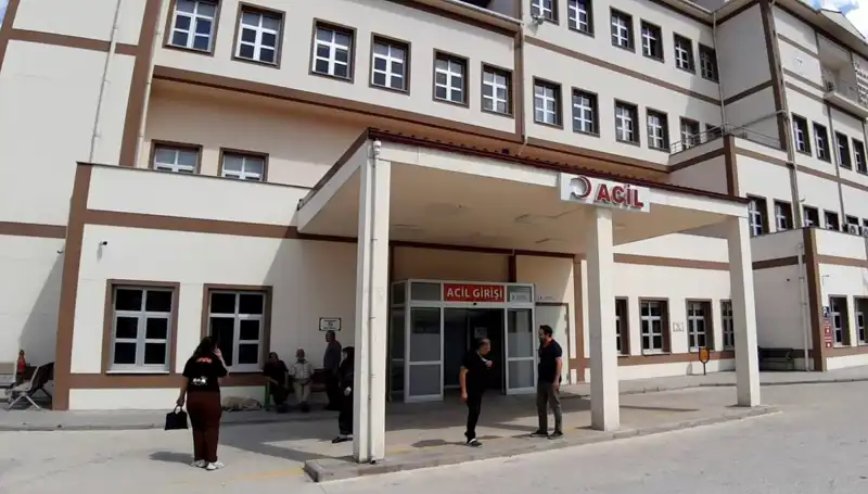 Bolu’da Ayı Avı Kararı: Doğa Koruma ve Ekosistem Üzerindeki Etkileri