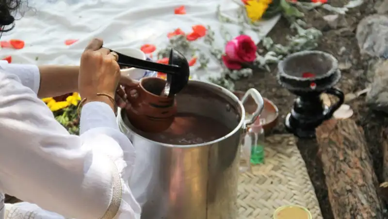 Ayahuasca Nedir? Yasal Durumu ve Etkileri Hakkında Bilmeniz Gerekenler