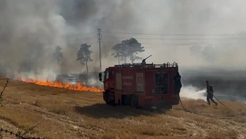 Kırklareli'nde Anız Yangını: Tarım Arazileri Tehlikeye Girdi