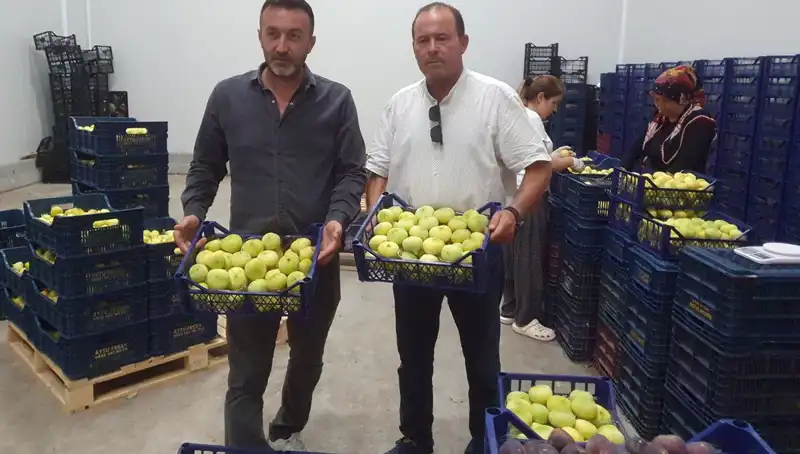 Mersinli Çiftçiler, Yüksek Talep ile Yüzlerini Güldüren Ürünlerini İhraç Ediyor