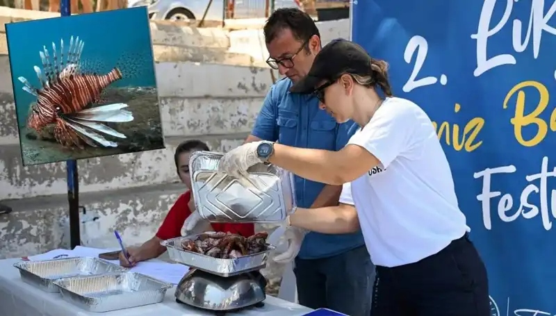 Antalya'da Aslan Balığı Avlama Yarışması: Ekosistem Koruma Mücadelesi