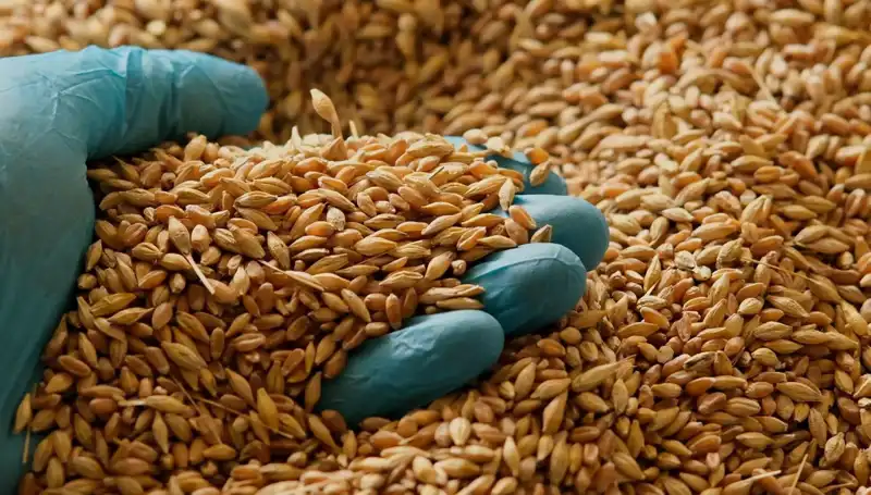 Kalp Hastalığı Riskinizi Azaltan Beslenme Alışkanlıkları: Uzmanlardan Öneriler