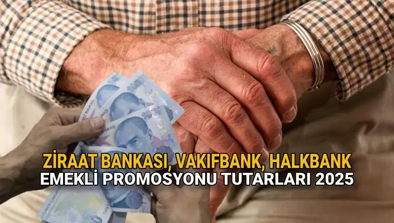 2025'te Emekli Maaşı Promosyonlarında Rekabet: Kamu Bankalarının Yeni Teklifleri