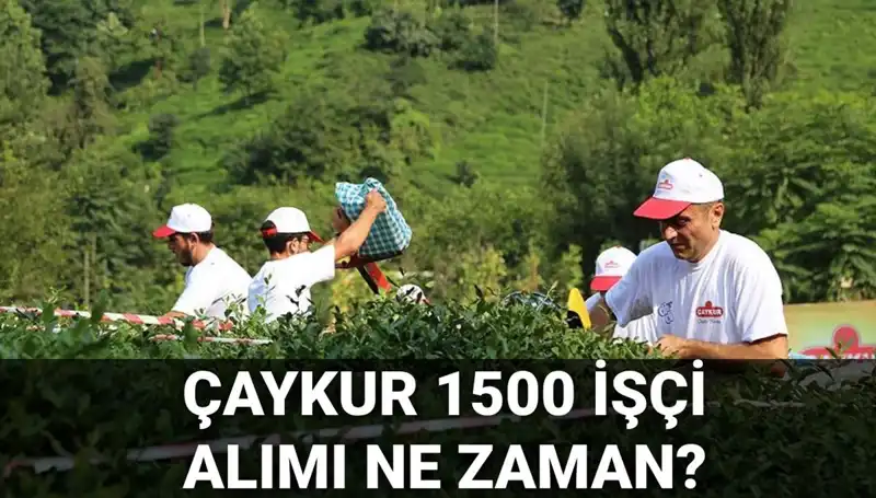 Çaykur İşçi Alımı İçin Başvuru Tarihleri Açıklandı! Kaçırmayın
