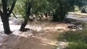 Mersin'deki Sağanak Yağışlar Sel Felaketine Dönüştü: Son Durum Nedir?