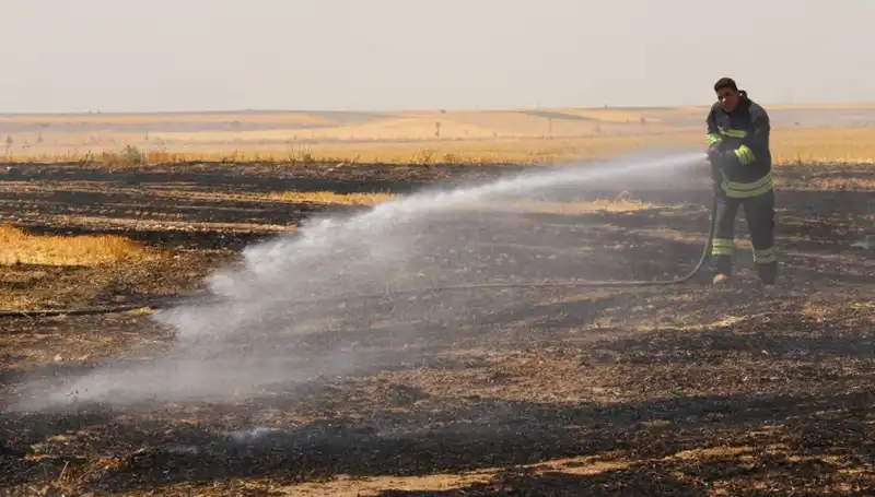 Eskişehir'de Trafo Yangını Tarım Arazilerine Zarar Verdi
